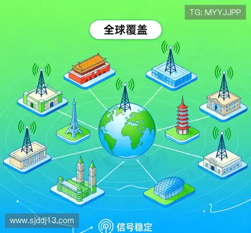 我们的风险管理